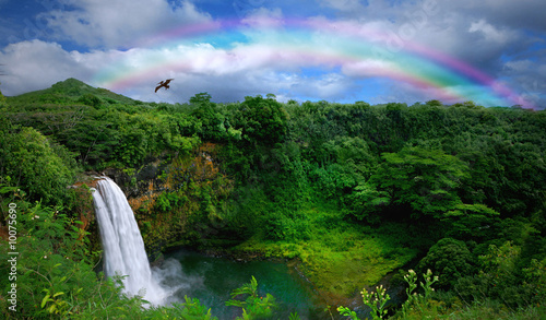 Waterfall in Kauai With Rainbow and Bird Overhead