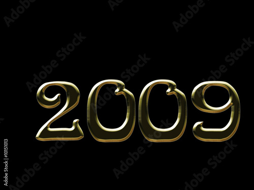 nouvelle année 2009 (4)