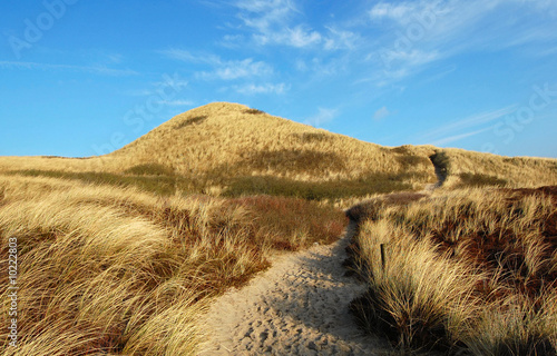 dune on the island sylt
