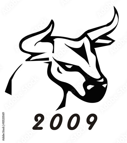 Bull 2009