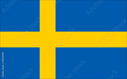 The Swedish flag with official proportions and line border
