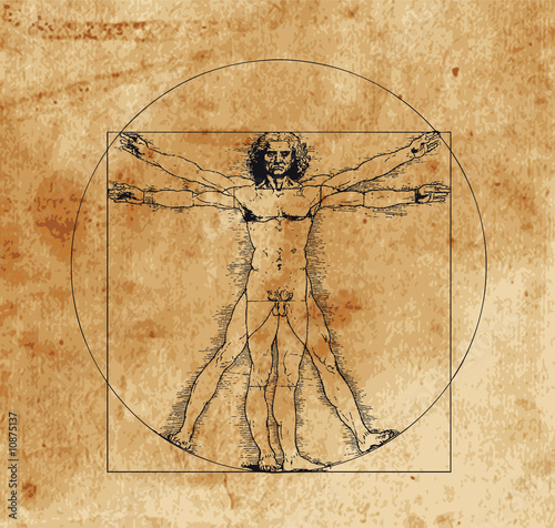 vitruvian man