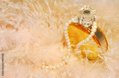 Feathers, necklace and perfume