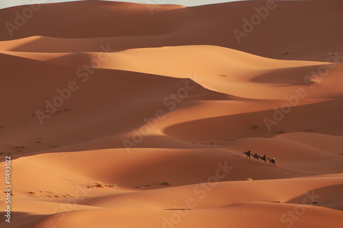 Caravan Across the Dunes - Scale