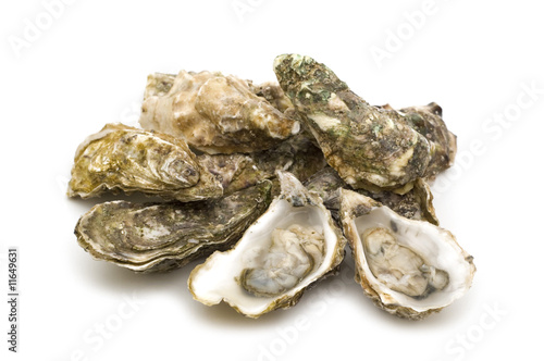 opened oysters on white background