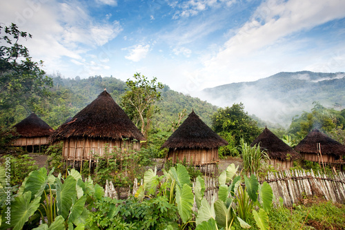 Traditional Hut