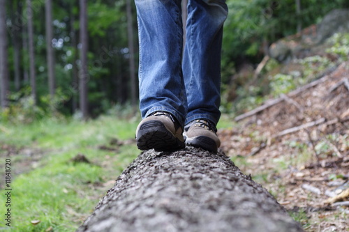 hiker walk on tree trunk