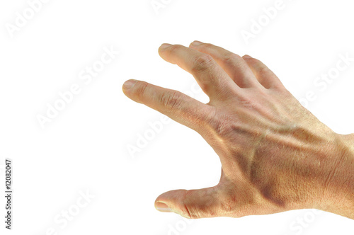 Hand 8