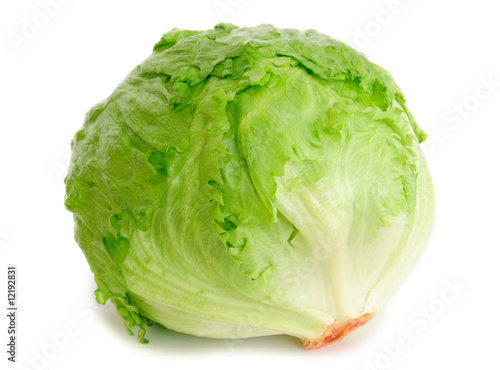 Cabbage lettuce isolated on white