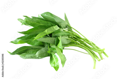 Water spinach ong choy