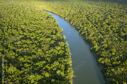 Aerial view of mangrove forest Sarawak River Borneo