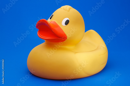 Yellow rubber duck on blue background