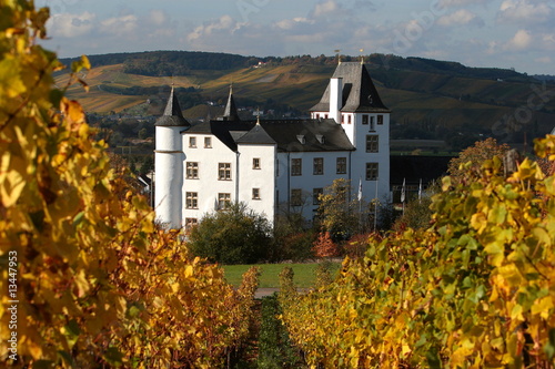 Weinberg Mosel Schloss Berg Nennig Casino