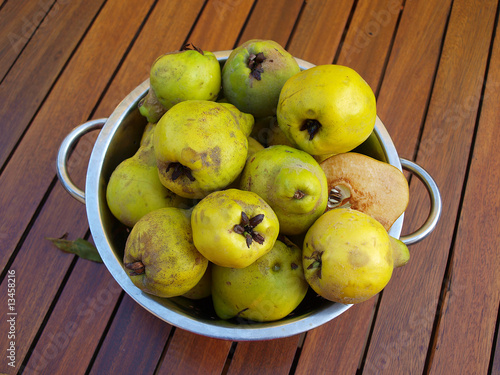 pigwa, quince