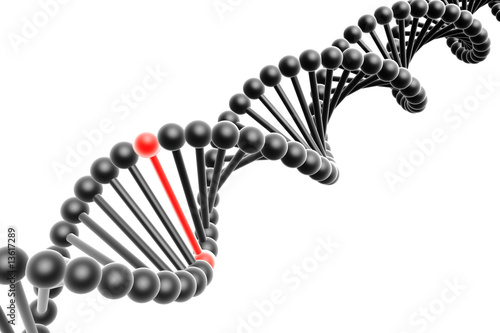 Red nucleotide from a DNA