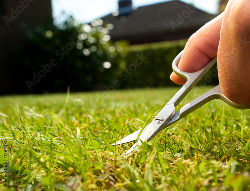 cutting lawn with nail scissors