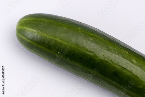 ogóek, cucumber