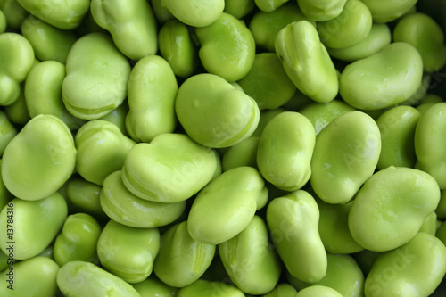 close up shot of broad beans