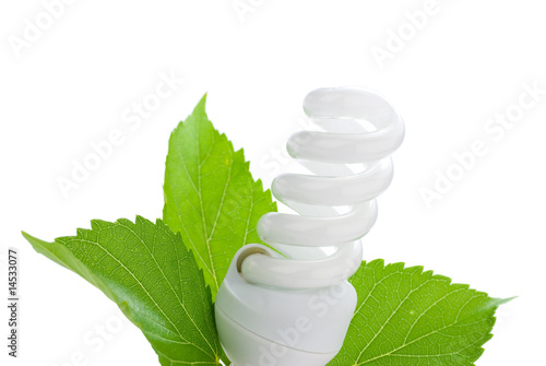 ampoule fluorescente et feuille verte sur fond blanc