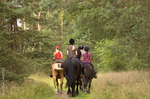 Reitergruppe im Wald
