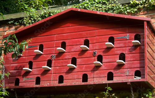Pigeon house