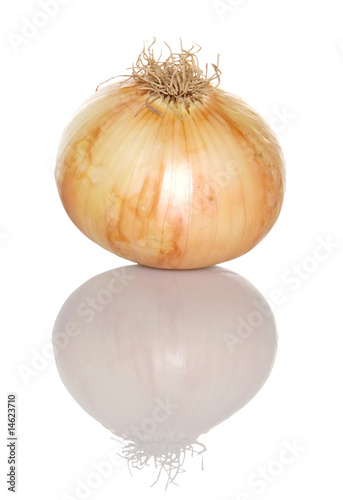 Vidalia Onion