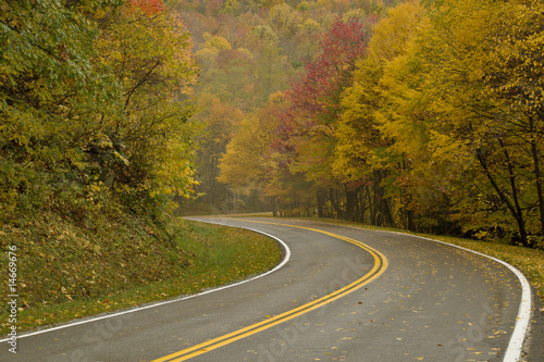 Curved Road with Autumn Colors