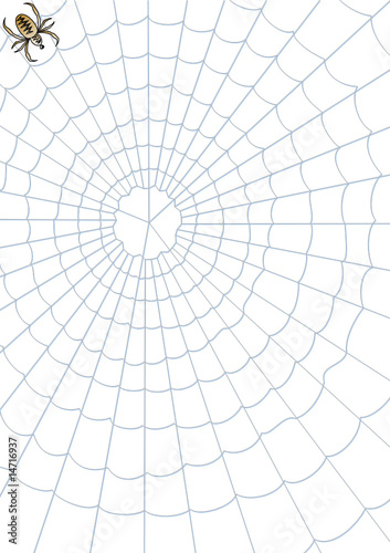 Background - Spinnennetz
