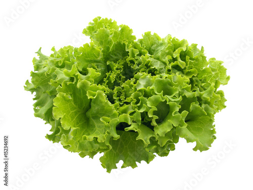 Salade verte