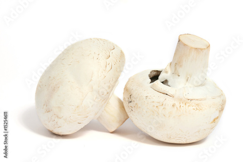 champignons de paris