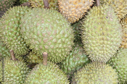 Durian - Frucht