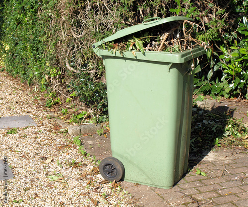 Green garden wheelie bin, UK.