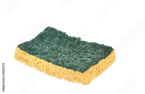 A dirty sponge #1