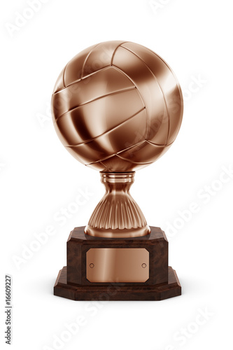 Bronze Volleyball trophy