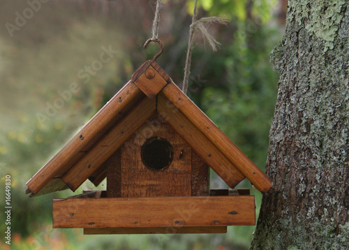 cabane à oiseaux