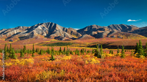 Denali National Park in autumn