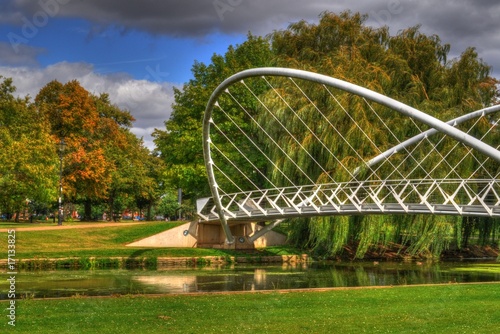 The Butterfly Bridge