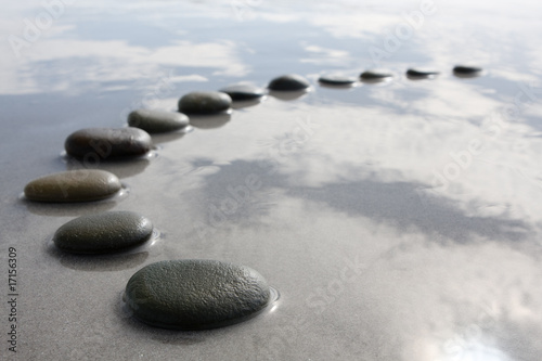 stepping stones