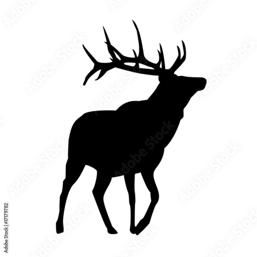 vector canadian deer silhouette