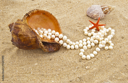 Cockleshell with a pearl necklace on seacoast