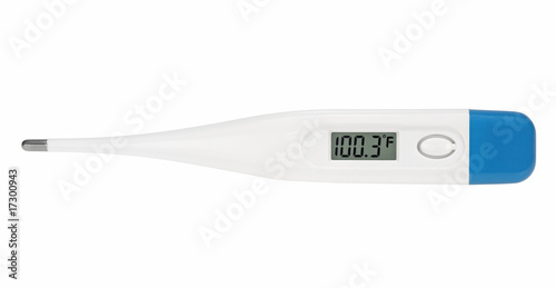 Digital Fahrenheit Thermometer