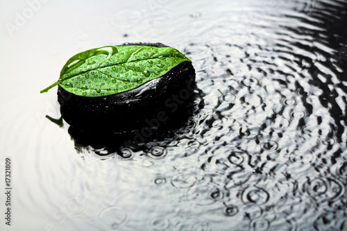 spa stone and leaf in water