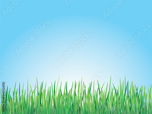 Grass