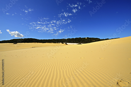 Fraser Island Dunes