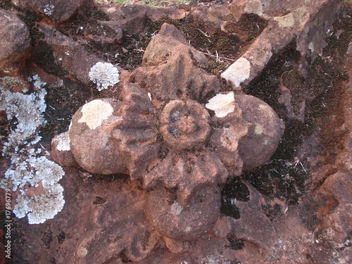 Flor de pedra