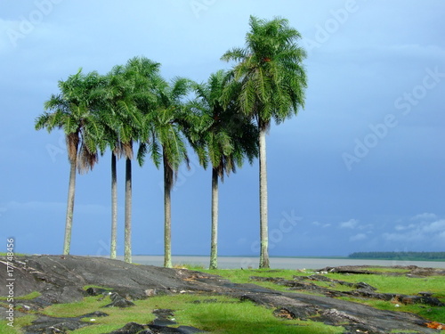 Kourou - Bord de mer