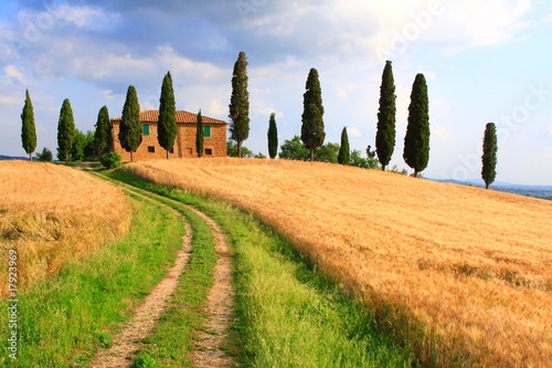 Weg, Zypressen, Haus, Wolkenhimmel, Toskana, Italien