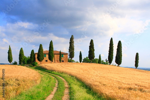 Weg, Zypressen, Haus, Wolkenhimmel, Toskana, Italien