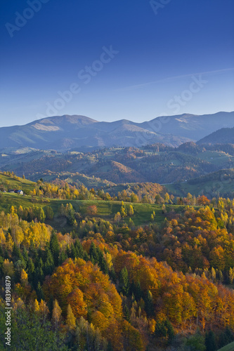 Autumn foliage and deep blue sky in the mountains