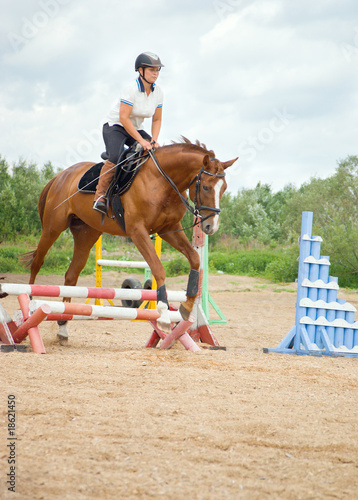 show jumping.girl riding horse and jumping